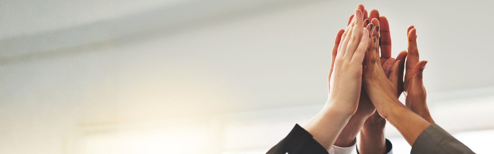 Herobild - Referenzen - Desktop