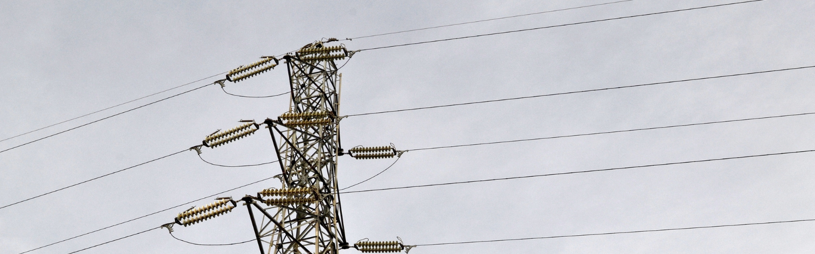 Herobild - Success Story - SAK - Desktop